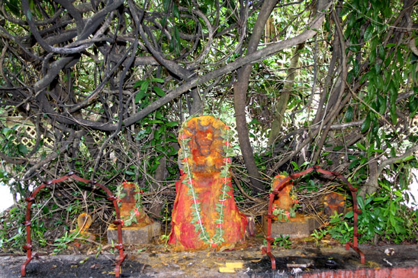 Significance of the Mannarasala Temple kerala
