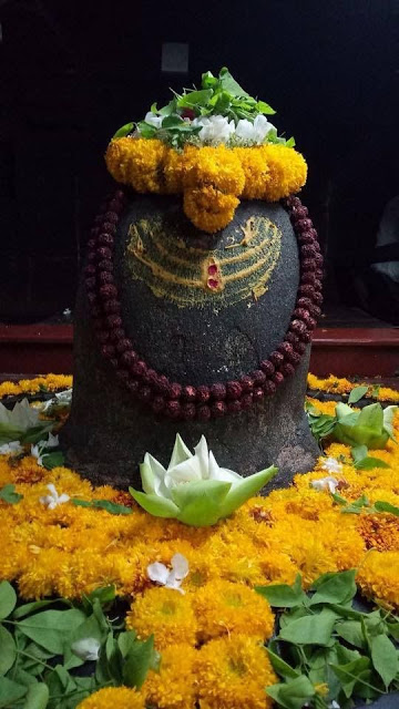 Shiva Padadi Keshanta Varnana Stotram